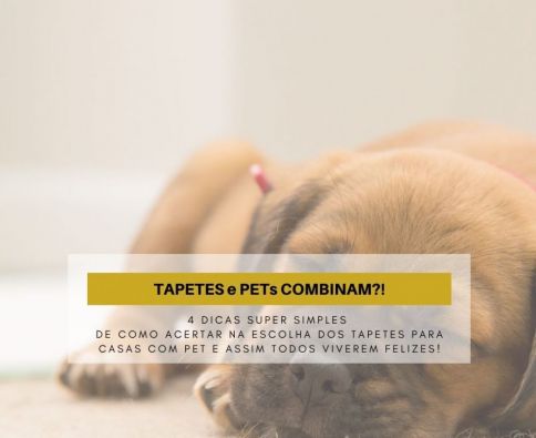 Tapetes e Pets combinam?